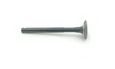 Exhaust Valve